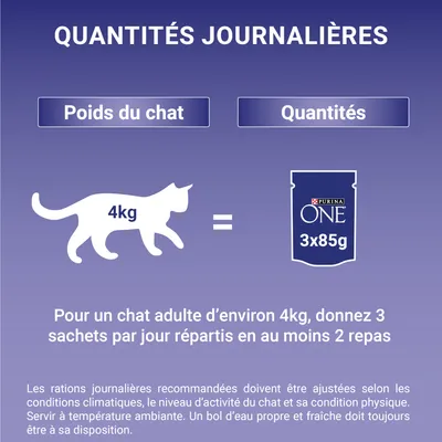 Tableau d’alimentation : pour un chat adulte de 4 kg, donner 3 sachets Purina ONE 3x85g par jour, répartis en au moins 2 repas. Poids du chat et quantités indiqués.