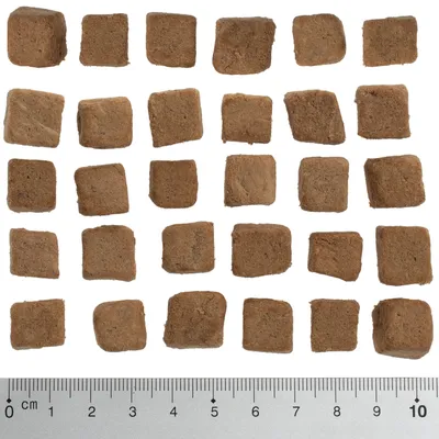 Kwadratowe kawałki karmy lub przysmaków dla zwierząt ułożone w rzędach, pod spodem linijka z podziałką centymetrową od 0 do 10 cm pokazująca rozmiar produktu.