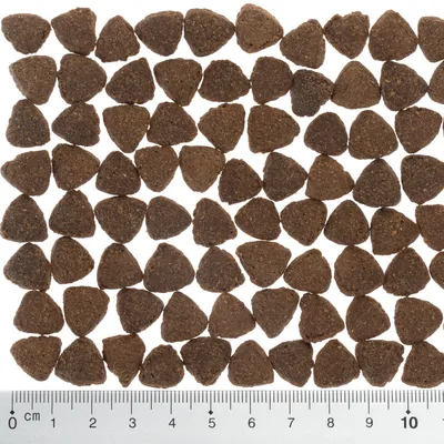 Trojúhelníkové granule krmiva uspořádané vedle sebe, dole měřítko v centimetrech od 0 do 10 cm pro zobrazení velikosti granulí.