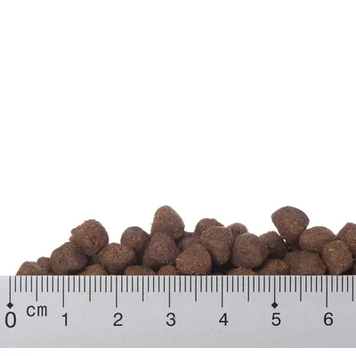 Granulki karmy suchej o średnicy ok. 1 cm, ułożone przy linijce z podziałką centymetrową od 0 do 6 cm, widoczny rozmiar pojedynczych granulek.