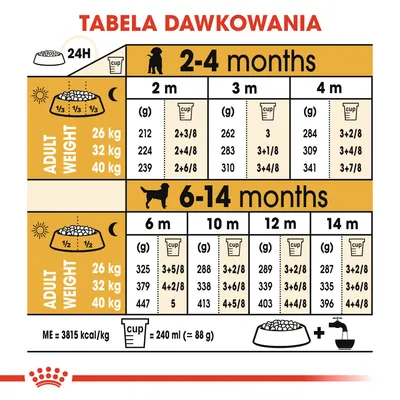 Tabela dawkowania karmy dla psów: ilości w gramach i miarkach według wieku (2–14 miesięcy) oraz docelowej masy ciała 26, 32, 40 kg. Miarka: 240 ml ≈ 88 g.