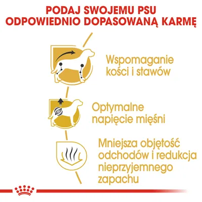 Podaj swojemu psu odpowiednio dopasowaną karmę: wspomaganie kości i stawów, optymalne napięcie mięśni, mniejsza objętość odchodów i redukcja nieprzyjemnego zapachu.