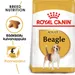 Royal Canin Beagle Adult