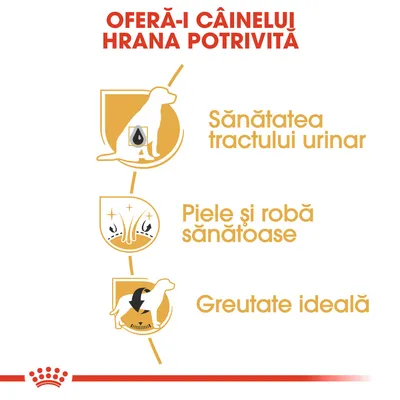 OFERĂ-I CÂINELUI HRANA POTRIVITĂ. Sănătatea tractului urinar, piele și robă sănătoase, greutate ideală.