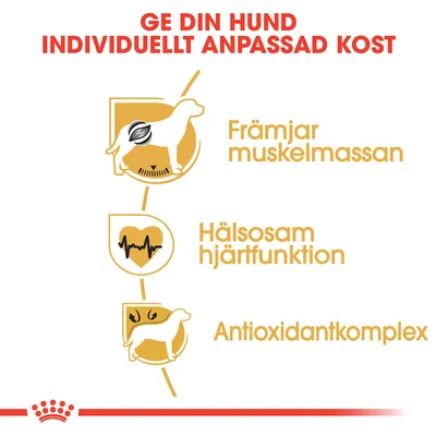 Ge din hund individuellt anpassad kost. Främjar muskelmassan. Hälsosam hjärtfunktion. Antioxidantkomplex.