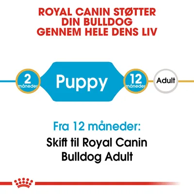 Royal Canin støtter din bulldog gennem hele dens liv. Fra 12 måneder: Skift til Royal Canin Bulldog Adult. Puppy fra 2–12 måneder, Adult efter 12 måneder.
