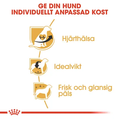 Ge din hund individuellt anpassad kost. Hjärthälsa, idealvikt, frisk och glansig päls.
