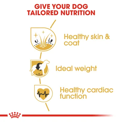 Tailored nutrition benefits: healthy skin and coat, ideal weight, and healthy cardiac function highlighted with icons and text.
