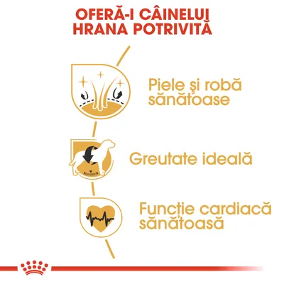 OFERĂ-I CÂINELUI HRANA POTRIVITĂ. Piele și robă sănătoase, Greutate ideală, Funcție cardiacă sănătoasă.