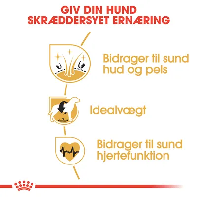 Giv din hund skræddersyet ernæring. Bidrager til sund hud og pels, idealvægt, bidrager til sund hjertefunktion.