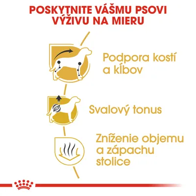 Podpora kostí a kĺbov, svalový tonus, zníženie objemu a zápachu stolice – hlavné benefity krmiva pre psov podľa obrázka s ikonami psa a textom.
