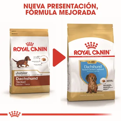 Comparativa de envases de Royal Canin para cachorro Dachshund: a la izquierda diseño antiguo 'Junior', a la derecha nuevo diseño 'Puppy'. Texto superior: Nueva presentación, fórmula mejorada.