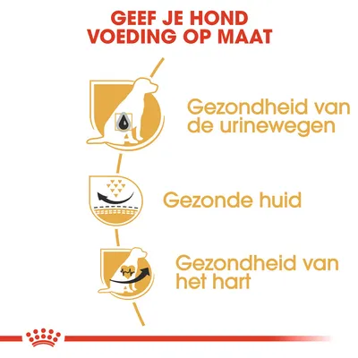 Tekst: Geef je hond voeding op maat. Gezondheid van de urinewegen, gezonde huid, gezondheid van het hart.