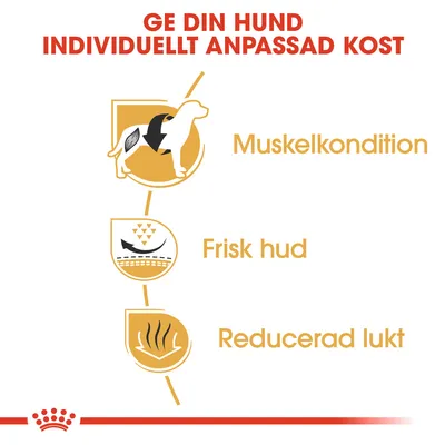 Ge din hund individuellt anpassad kost. Muskelkondition, frisk hud, reducerad lukt.