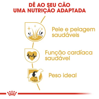 Dê ao seu cão uma nutrição adaptada: Pele e pelagem saudáveis, função cardíaca saudável, peso ideal.