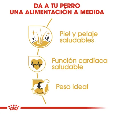 Da a tu perro una alimentación a medida. Piel y pelaje saludables, función cardíaca saludable, peso ideal.