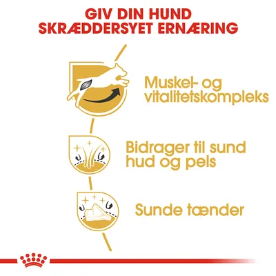 GIV DIN HUND SKRÆDDERSYET ERNÆRING. Muskel- og vitalitetskompleks. Bidrager til sund hud og pels. Sunde tænder.