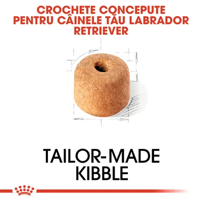 CROCHETE CONCEPTE PENTRU CÂINELE TĂU LABRADOR RETRIEVER. TAILOR-MADE KIBBLE. Imagine cu o croșetă rotundă, maro, cu orificiu central.