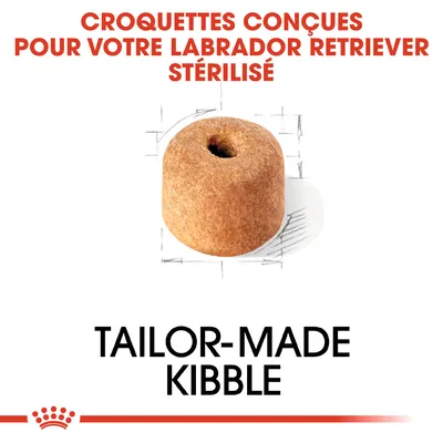 Croquettes conçues pour Labrador Retriever stérilisé, visuel d'une croquette ronde avec trou central. Texte en anglais : Tailor-made kibble.