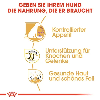 Geben Sie Ihrem Hund die Nahrung, die er braucht: Kontrollierter Appetit, Unterstützung für Knochen und Gelenke, gesunde Haut und schönes Fell.