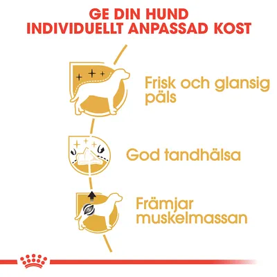Ge din hund individuellt anpassad kost. Frisk och glansig päls, god tandhälsa, främjar muskelmassan.