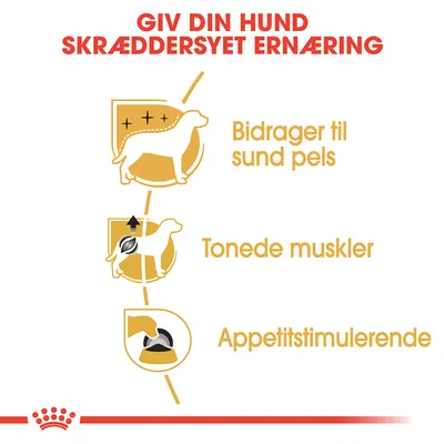 Giv din hund skræddersyet ernæring. Bidrager til sund pels, tonede muskler, appetitstimulerende. Tre ikoner med hund og foderskål.