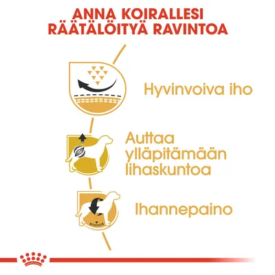 Anna koirallesi räätälöityä ravintoa. Hyvinvoiva iho. Auttaa ylläpitämään lihaskuntoa. Ihannepaino.