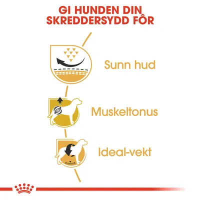 Royal Canin Pug Adult