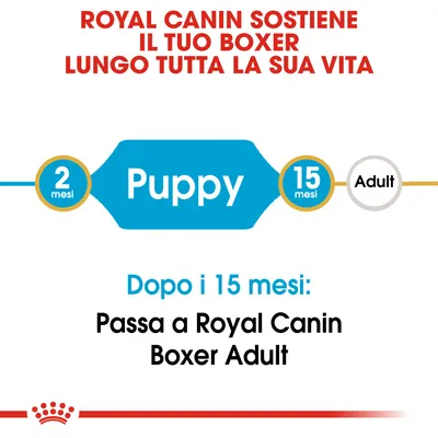 Royal Canin sostiene il tuo Boxer lungo tutta la sua vita. Da 2 a 15 mesi Puppy, dopo i 15 mesi passa a Royal Canin Boxer Adult.