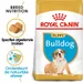 Royal Canin Bulldog Puppy - Hondenvoer
