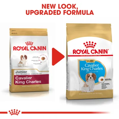 Royal Canin Cavalier King Charles Puppy