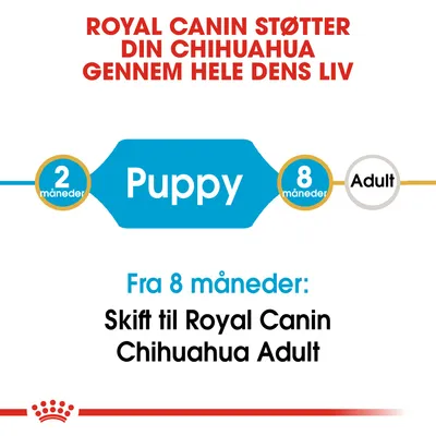 ROYAL CANIN STØTTER DIN CHIHUAHUA GENNEM HELE DENS LIV. Puppy 2 måneder–8 måneder. Adult. Fra 8 måneder: Skift til Royal Canin Chihuahua Adult.
