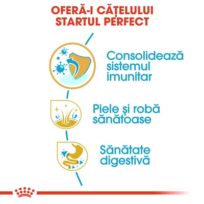 Oferă-i cățelului startul perfect: consolidează sistemul imunitar, piele și robă sănătoase, sănătate digestivă. Text și pictograme explicative.