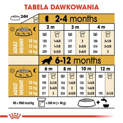 Tabela dawkowania karmy dla szczeniąt: ilości w gramach i miarkach na dobę według wieku (2–12 miesięcy) i docelowej masy ciała psa (10, 12, 16 kg). Miarka = 240 ml ≈ 88 g.