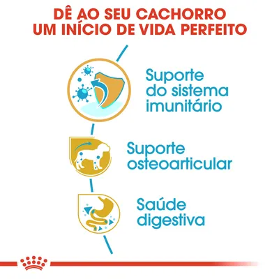 Dê ao seu cachorro um início de vida perfeito. Suporte do sistema imunitário, suporte osteoarticular, saúde digestiva.