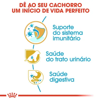 Dê ao seu cachorro um início de vida perfeito. Suporte do sistema imunitário, saúde do trato urinário, saúde digestiva.