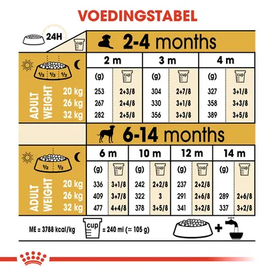 Voedingstabel voor honden: dagelijkse hoeveelheid voer in grammen en cups per leeftijd (2–14 maanden) en volwassen gewicht (20, 26, 32 kg). 1 cup = 240 ml (≈105 g).