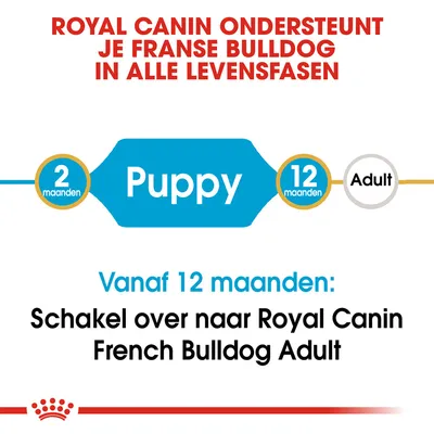 ROYAL CANIN ONDERSTEUNT JE FRANSE BULLDOG IN ALLE LEVENSFASEN. 2 maanden Puppy 12 maanden Adult. Vanaf 12 maanden: Schakel over naar Royal Canin French Bulldog Adult.