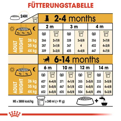 Fütterungstabelle für Hunde: Mengenangaben in Gramm und Cups basierend auf Alter (2-14 Monate) und Gewicht (26-44 kg). ME=3808 kcal/kg, 1 Cup=240 ml (≈91 g).