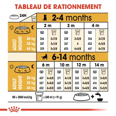 Tableau de rationnement pour chiots selon poids adulte (26, 35, 44 kg) et âge (2–14 mois), quantités en grammes et tasses par jour. 1 tasse = 240 ml (≈91 g). ME = 3808 kcal/kg.