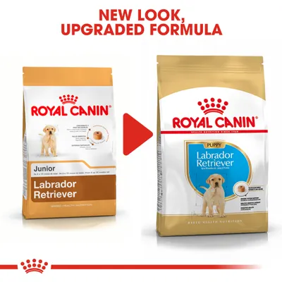 Comparison of old and new Royal Canin Labrador Retriever puppy food packaging with text 'New look, upgraded formula' above the images.