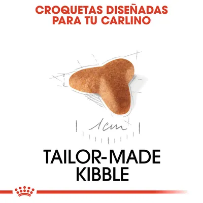 Croquetas diseñadas para tu carlino, imagen de una croqueta con referencia de tamaño 1 cm. Texto en inglés: Tailor-made kibble.