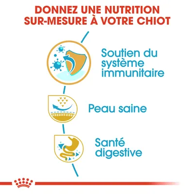Donnez une nutrition sur-mesure à votre chiot : soutien du système immunitaire, peau saine, santé digestive.