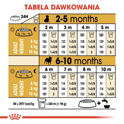 Tabela dawkowania karmy dla szczeniąt: ilości w gramach i miarkach na dobę według wieku 2–10 miesięcy i docelowej masy ciała 6, 8, 10 kg. 1 miarka = 240 ml ≈ 96 g.