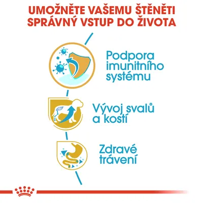 Podpora imunitního systému, vývoj svalů a kostí, zdravé trávení – klíčové benefity pro štěňata uvedené na obrázku s ikonami a textem.