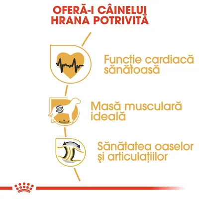 OFERĂ-I CÂINELUI HRANA POTRIVITĂ. Funcție cardiacă sănătoasă, masă musculară ideală, sănătatea oaselor și articulațiilor.