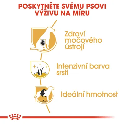 Poskytněte svému psovi výživu na míru: zdraví močového ústrojí, intenzivní barva srsti, ideální hmotnost.