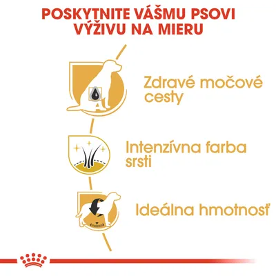 POSKYTNITE VÁŠMU PSOVI VÝŽIVU NA MIERU. Zdravé močové cesty, intenzívna farba srsti, ideálna hmotnosť.