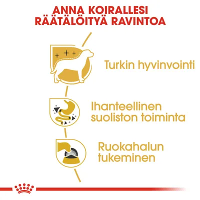 Anna koirallesi räätälöityä ravintoa: turkin hyvinvointi, ihanteellinen suoliston toiminta, ruokahalun tukeminen. Teksti ja kolme symbolia koiran hoidosta.