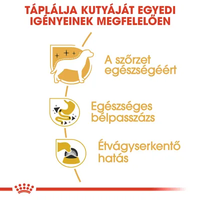 Táplálja kutyáját egyedi igényeinek megfelelően: a szőrzet egészségéért, egészséges bélpasszázs, étvágyserkentő hatás.